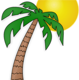 Sunny Vibes with Palm Tree Bliss PNG