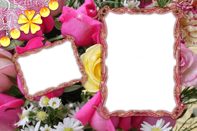 Elegant Floral Photo Frame Collection PNG