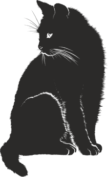 Mystical Black Cat in Shadows PNG