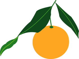 Vibrant Citrus Fruit with Lush Green Leaves PNG