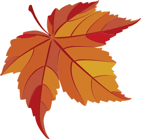 Vibrant Autumn Leaf Delight PNG