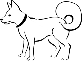 Playful Canine Adventures The Spirited Dog PNG