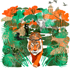 Jungle Trail A Vibrant Wildlife Expedition PNG