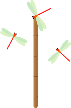 Insect Dance of Colorful Dragonflies PNG