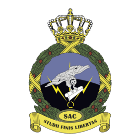 Air Force Emblem of Excellence and Freedom PNG