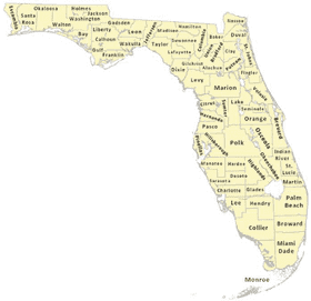 Florida Map Counties and Regions Overview PNG