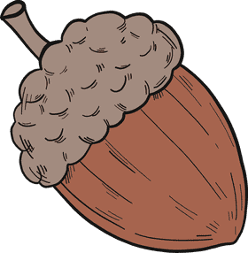 Whimsical Acorn of Nature's Treasures PNG