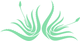 Elegant Aloe Vera Flourish Design PNG
