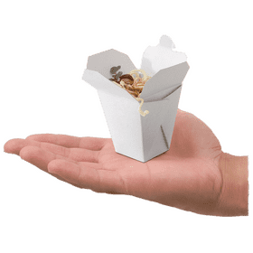 Noodle Box Delight in Your Hand PNG