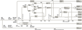 Branches of Christianity A Flowchart Exploration PNG