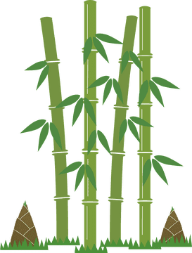 Bamboo Forest Serenity and Tranquility PNG