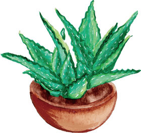 Vibrant Aloe Vera in a Rustic Pot PNG
