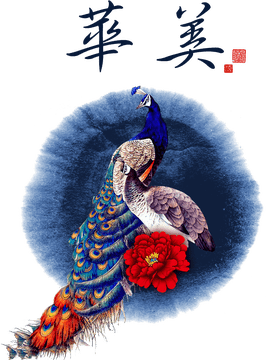 Peacock Elegance in Vibrant Harmony PNG