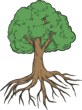 Whimsical Ginger Root Tree Illustration PNG