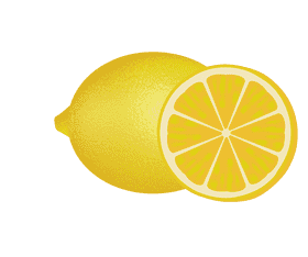 Bright Citrus Slice Delightfulness PNG
