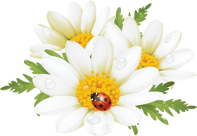 Radiant Flowers with a Ladybug Charm PNG