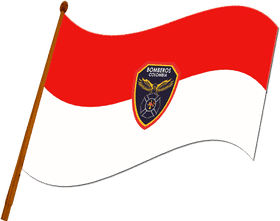 Firefighter Heroes of Colombia PNG