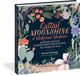 Cattail Moonshine Unique Insights into Plant Medicine PNG