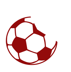 Global Soccer Journey From Field to Flight PNG