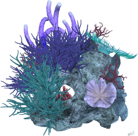 Vibrant Underwater Life of Coral Reef Fantasy PNG