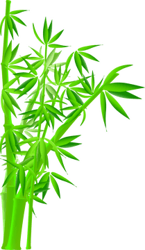 Whispers in the Bamboo Forest PNG