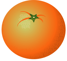 Vibrant Citrus Fruit Delight PNG