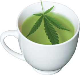 Refreshing Herbal Tea Cup Experience PNG