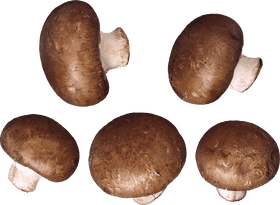 Mushroom Medley Earthy Delights of Nature PNG