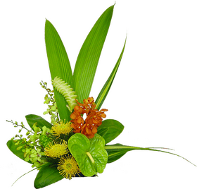 Tropical Serenity A Vibrant Flower Arrangement PNG