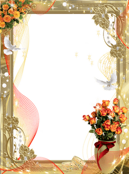 Elegant Floral Photo Frame with Doves and Stars PNG