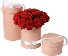 Elegant Red Flower Bouquet in Chic Packaging PNG