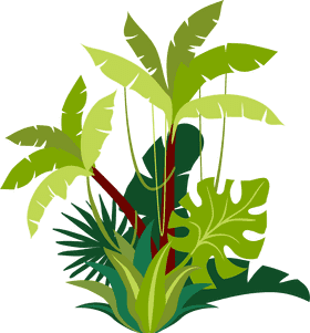 Exploring the Lush Jungle Trail Oasis PNG