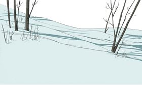 Whispers of Snow in a Winter Landscape PNG