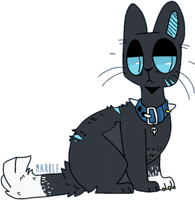 Marble Cat with Blue Accents and Collar PNG