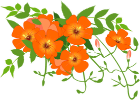Chinese Floral Harmony in Vivid Orange PNG