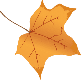 Golden Autumn Leaf Nature's Vibrant Transition PNG