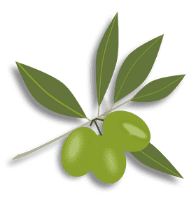 Pure Essence of Olive Oil PNG