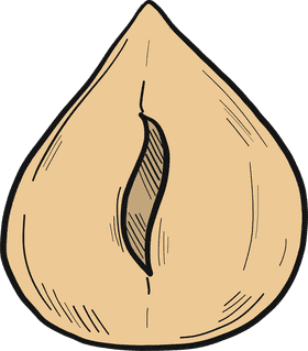 Delightful Hazelnut Treat Nature's Sweet Surprise PNG