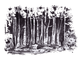 Whispers of the Enchanted Forest PNG