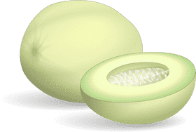 Fresh and Juicy Melon Slice Delight PNG