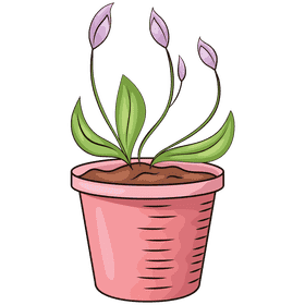 Charming Pink Plant Pot with Elegant Shoots PNG