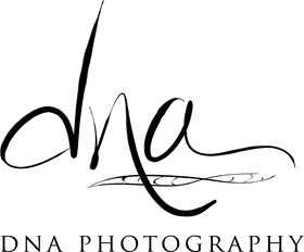 DNA The Blueprint of Life PNG