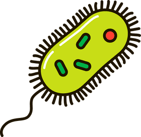 Colorful Bacteria with Spiky Projections PNG