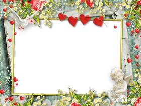Romantic Floral Photo Frame Delight PNG