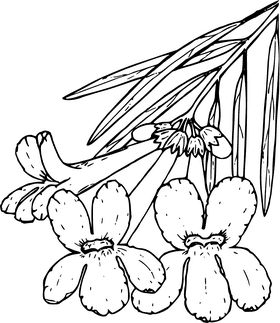 Whispers of the Desert Oasis PNG