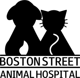 Vaccine Awareness for a Healthier Future PNG