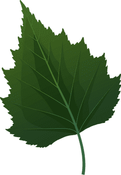 Ultimate Leaf Blower for Efficient Yard Cleanup PNG