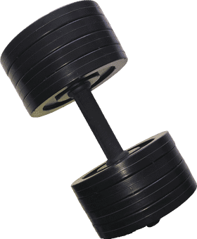 Ultimate Gym Strength Training Equipment PNG