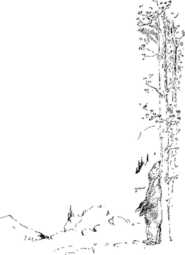 Creative Scratch Unleashing Imagination Through Play PNG