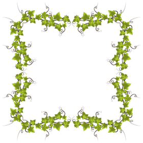 Ivy Leaf Enchantment Frame Design PNG